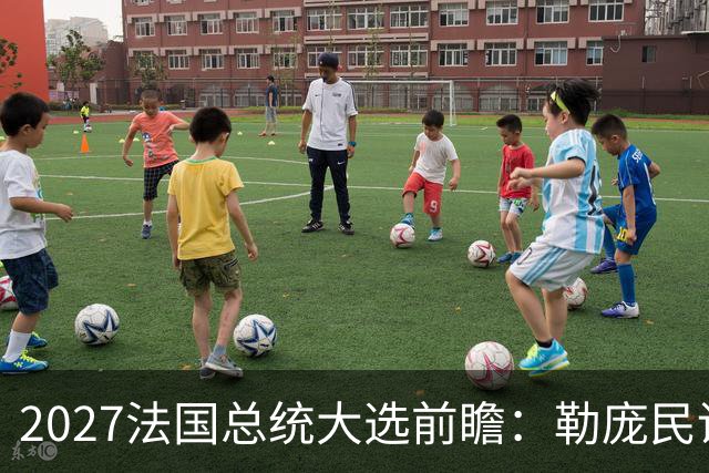 2027法国总统大选前瞻：勒庞民调大幅领先